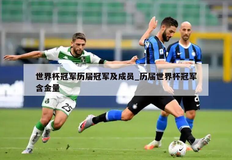 世界杯冠军历届冠军及成员_历届世界杯冠军含金量