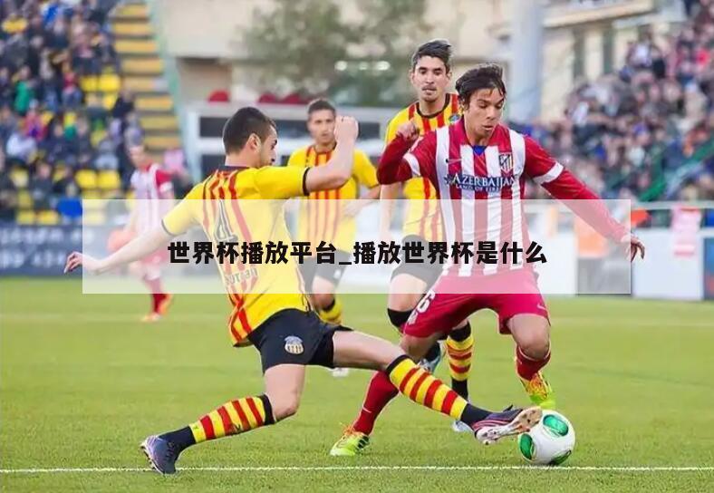 世界杯播放平台_播放世界杯是什么