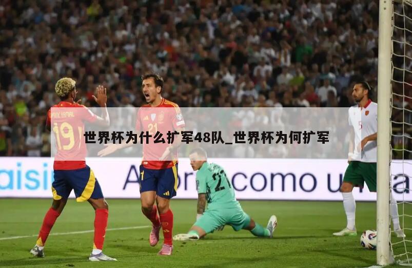 世界杯为什么扩军48队_世界杯为何扩军