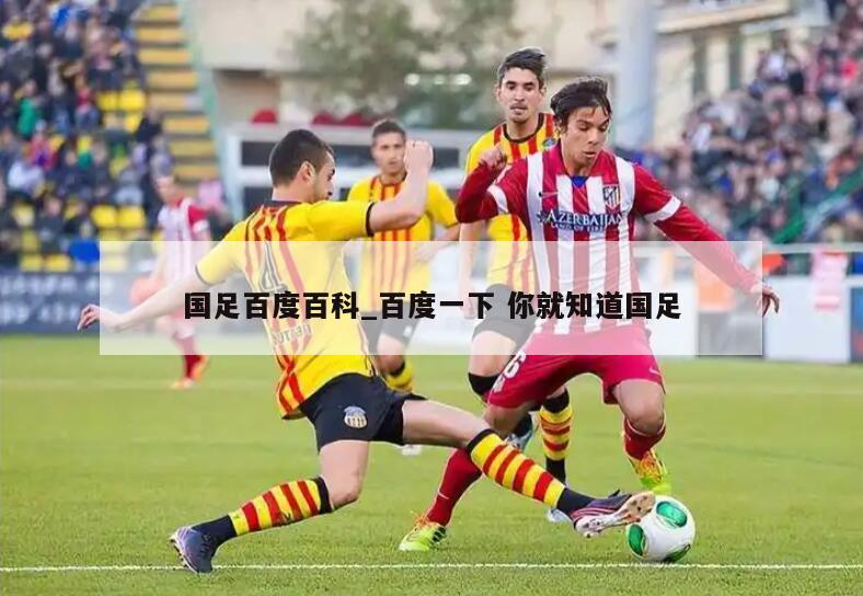 国足百度百科_百度一下 你就知道国足