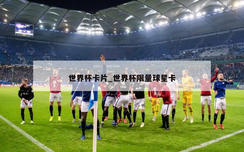 世界杯卡片_世界杯限量球星卡