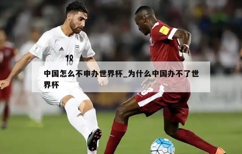 中国怎么不申办世界杯_为什么中国办不了世界杯